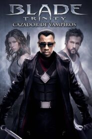 Blade: Trinity