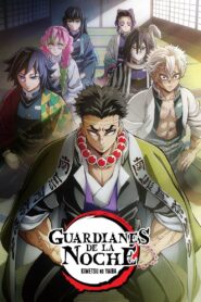 Demon Slayer: Kimetsu no Yaiba: Temporada 5